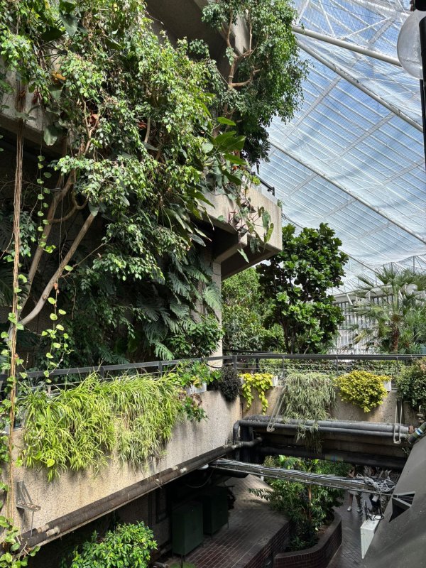 RHS Chelsea Flower Show 2026