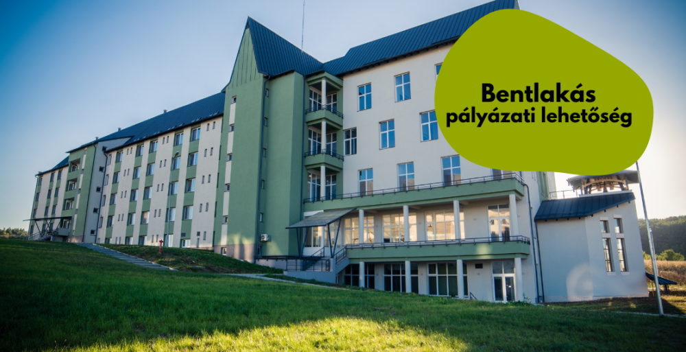 Ismét lehet pályázni  a Marosvásárhelyi Karon