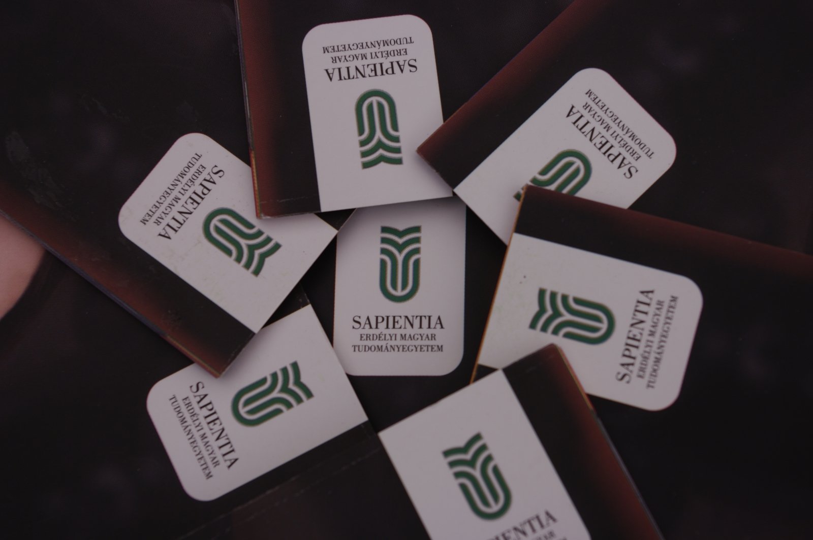 Sapientia is forgásban!