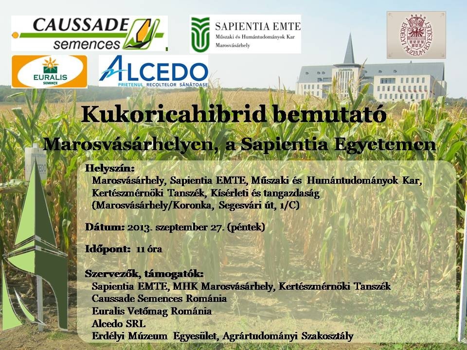 Kukoricahibrid bemutató