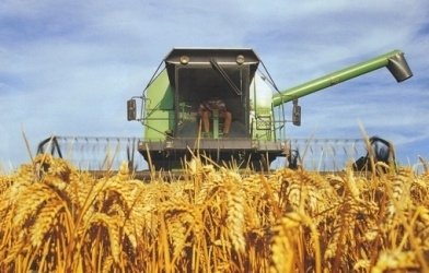 Megkaptuk az Agrármérnöki Szak működési engedélyét!