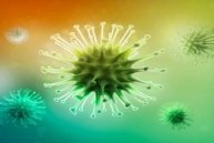 Növényvirológiai és növénybiotechnológiai előadások a Marosvásárhelyi Karon