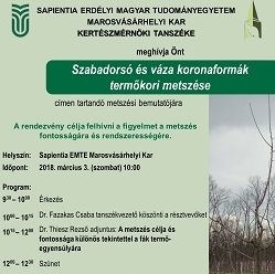 Metszési bemutató