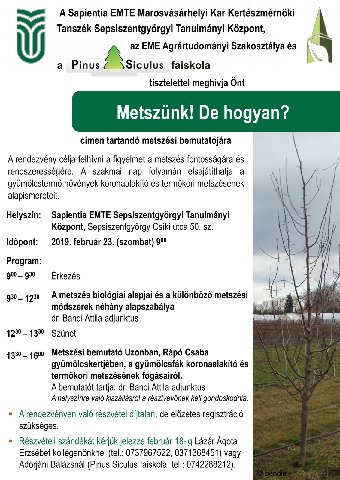 "Metszünk! De hogyan?"
