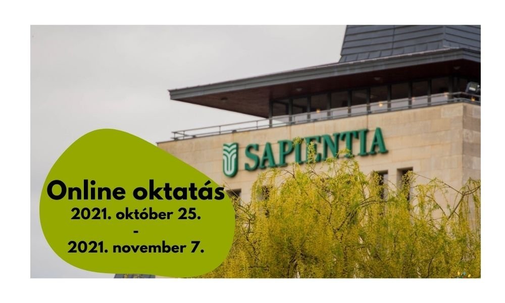 Ideiglenes online oktatás